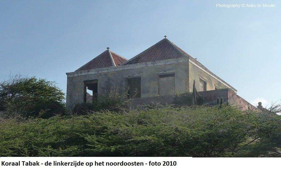 17. Koraal Tabak linkerzijde op het noordoosten 2010